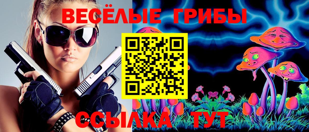 Псилоцибиновые грибы GOLDEN TEACHER Карачаевск