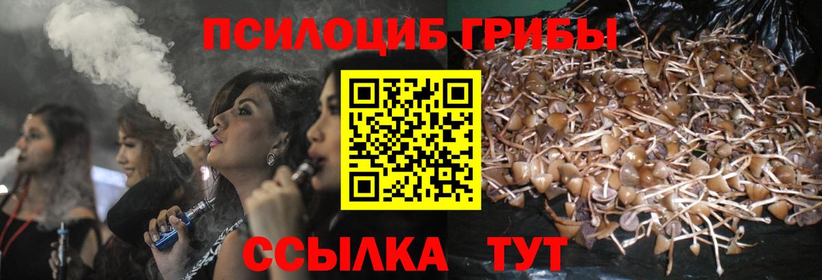 Карачаевск  Псилоцибиновые грибы MAGIC MUSHROOMS  Вход с VPN  Галлюциногенные грибы Psilocybe 